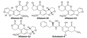 Mycotoxin Molecules | Nordic Analytical Laboratories